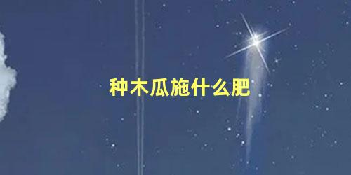 种木瓜施什么肥 木瓜树施肥时间长(种木瓜施什么肥 木瓜树施肥时间最长)